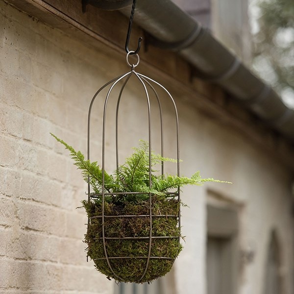 Hanging plant cage - tall