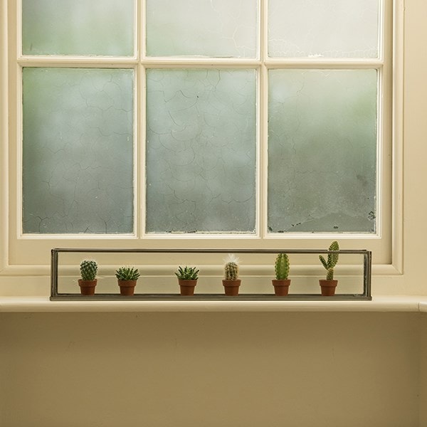 Windowsill terrarium