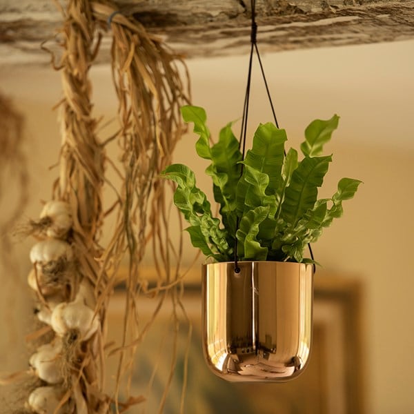 Hanging polished copper pot