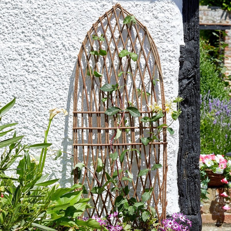 Minster willow trellis - gothic