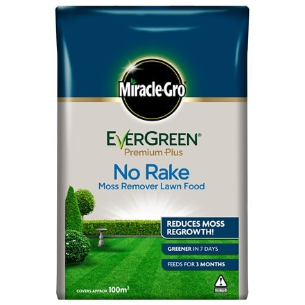 Miracle gro evergreen premium plus no rake moss remover lawn food
