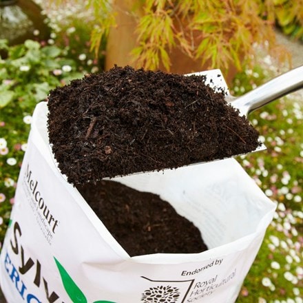 RHS Sylvagrow peat-free ericaceous compost