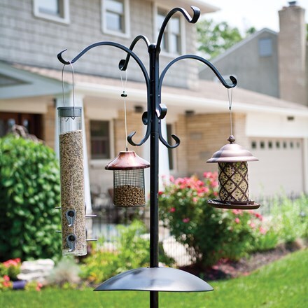 Deluxe four way bird feeding station with squirrel baffle