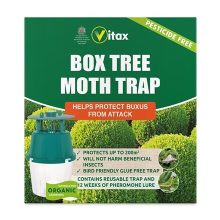 Box tree moth trap