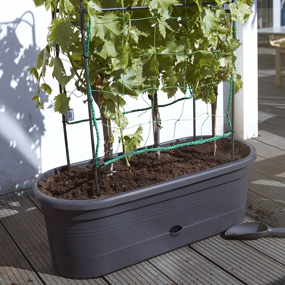 Vegetable planter with support frame and trellis - black