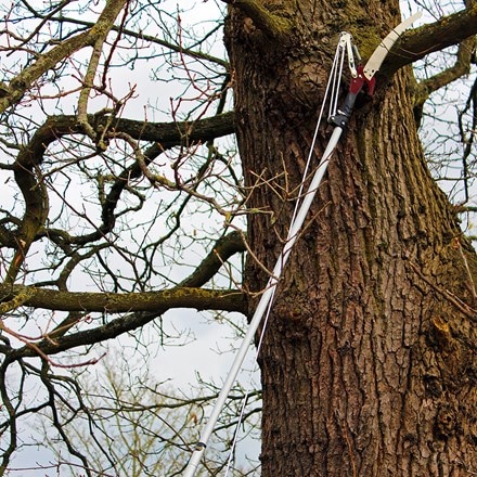 Kent & Stowe telescopic tree lopper 3 metres