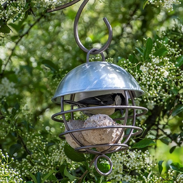 Brushed aluminium satellite fat ball feeder