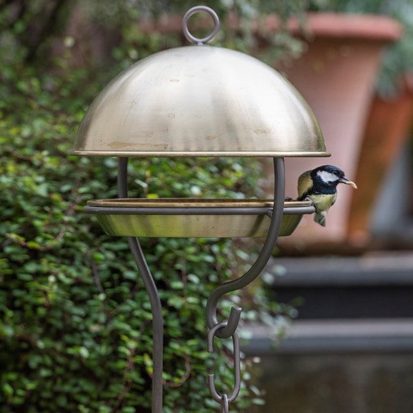 Brushed brass stake bird feeding dome