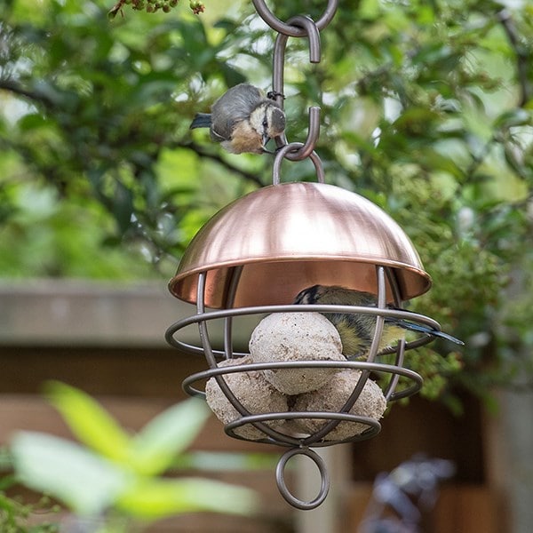 Brushed copper satellite fat ball feeder