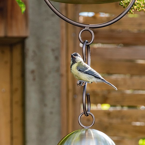 Perch hanging bird hook 