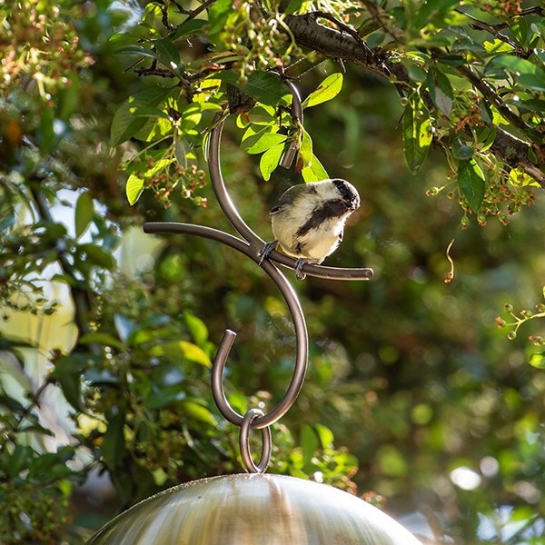 Perch hanging bird hook 