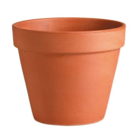 Classic Italian terracotta pot