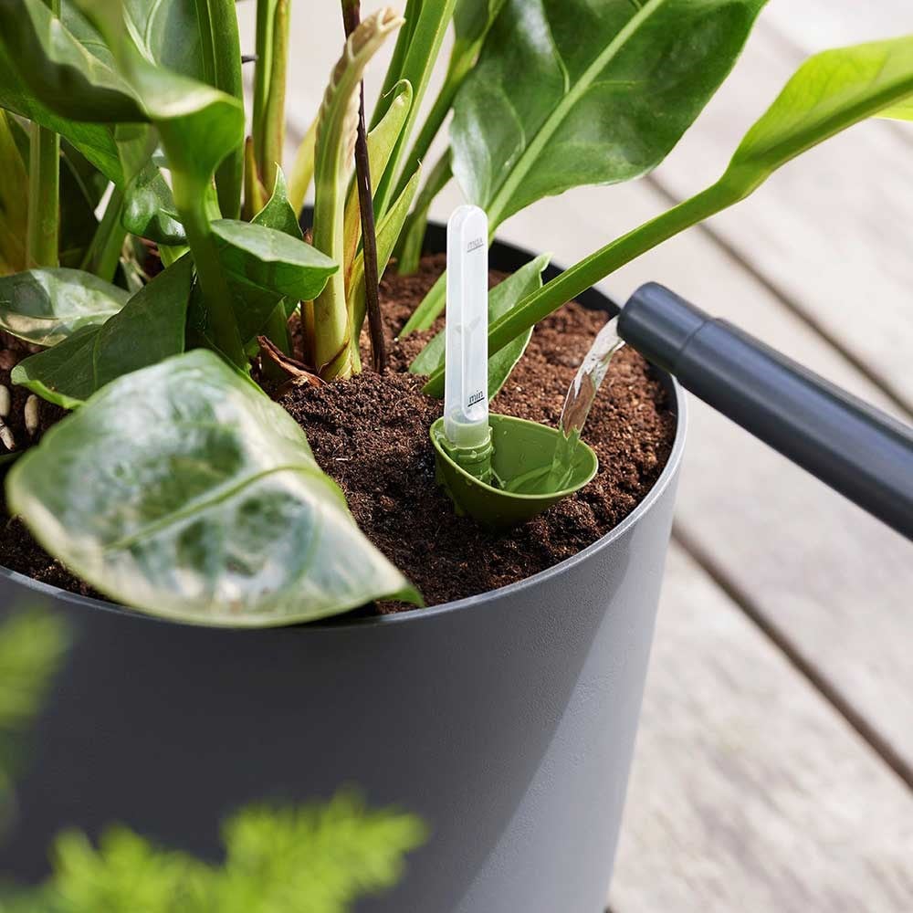 Self-watering plant pot - dark grey