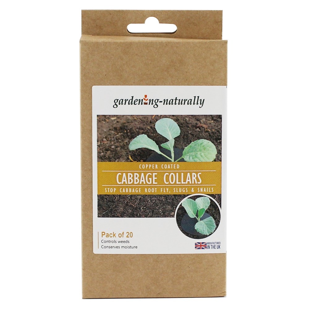 Cabbage collars - pack of 20