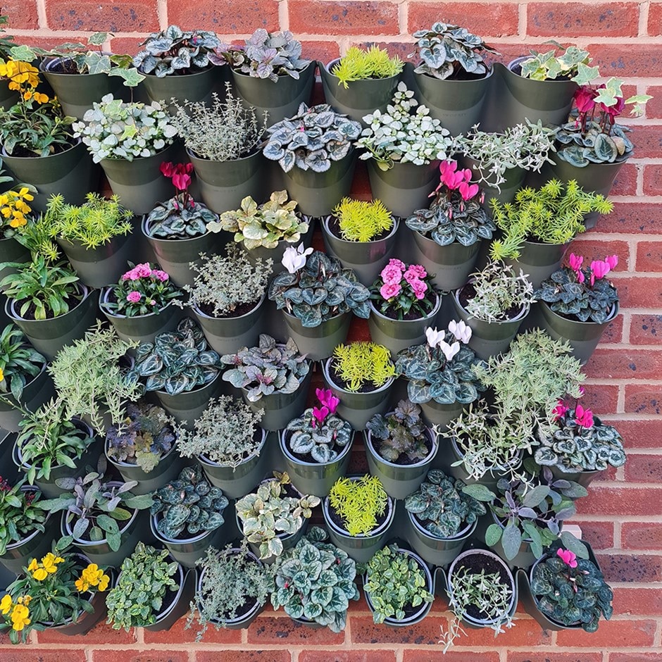 Living wall vertical planting set - 2.3m2 