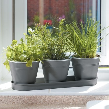 Windowsill herb pots - set of 3 with tray