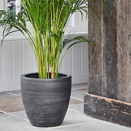 Tapered large plant pot - anthracite