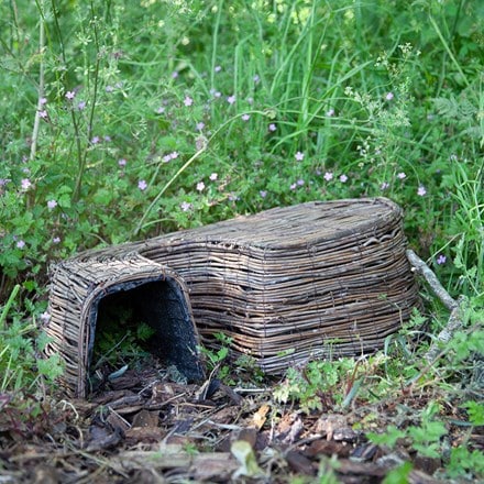 Hedgehog igloo