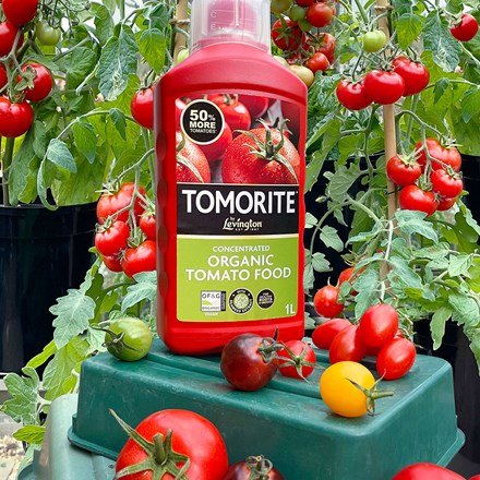 Tomorite organic concentrated tomato food