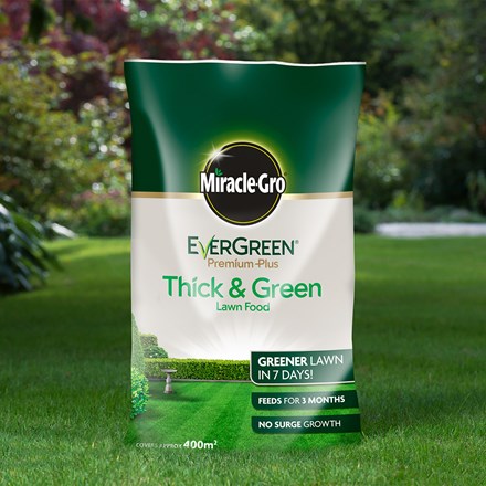 Miracle gro evergreen premium plus thick and green lawn