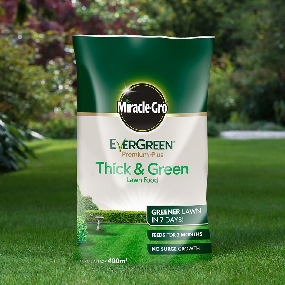 Miracle gro evergreen premium plus thick and green lawn