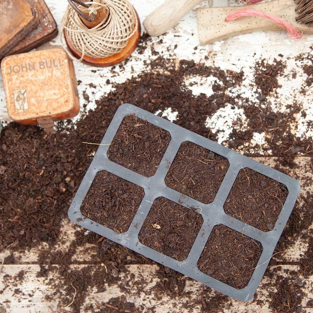 Natural rubber seed tray - 6 cell