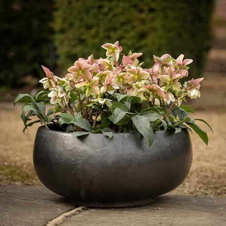 Glazed terracotta bowl - matt charcoal