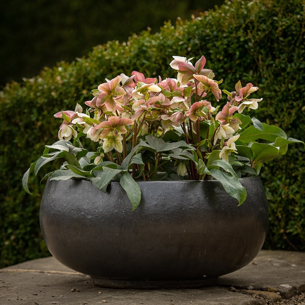 Glazed terracotta bowl - matt charcoal
