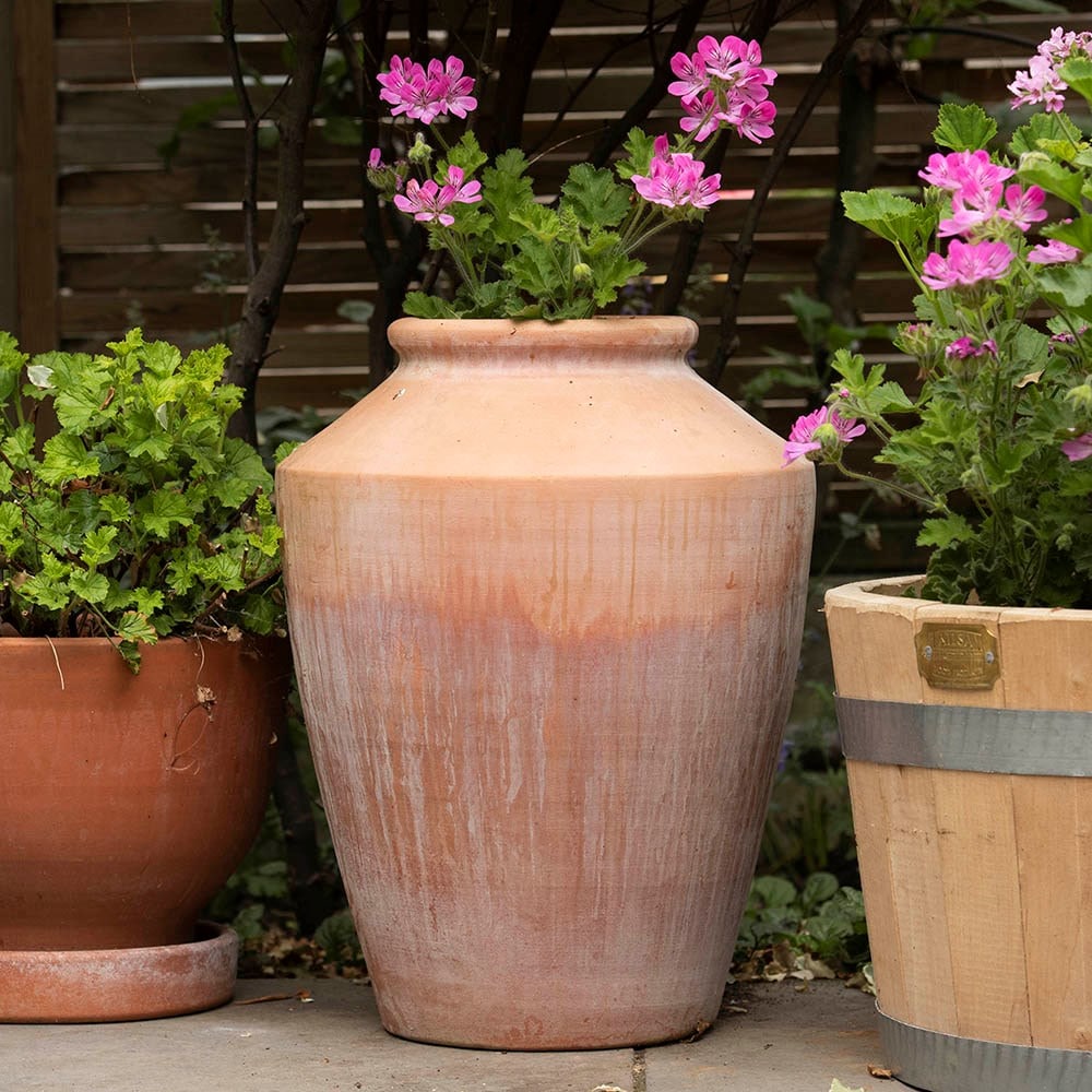 Terracotta pelargonium/geranium pot - large