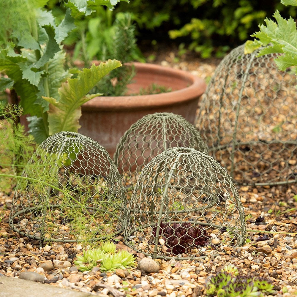 Small wire cloches - set of 3