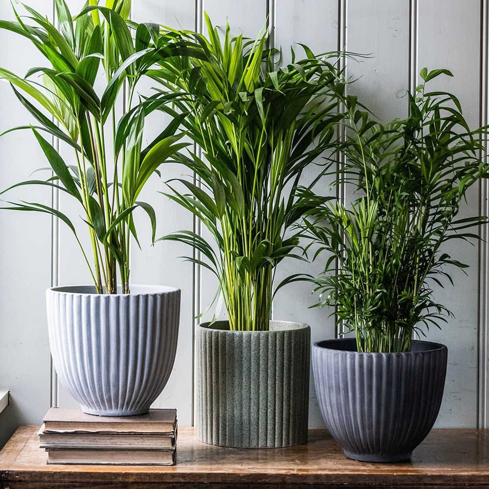 Ribbed terracotta plant pot - dark grey