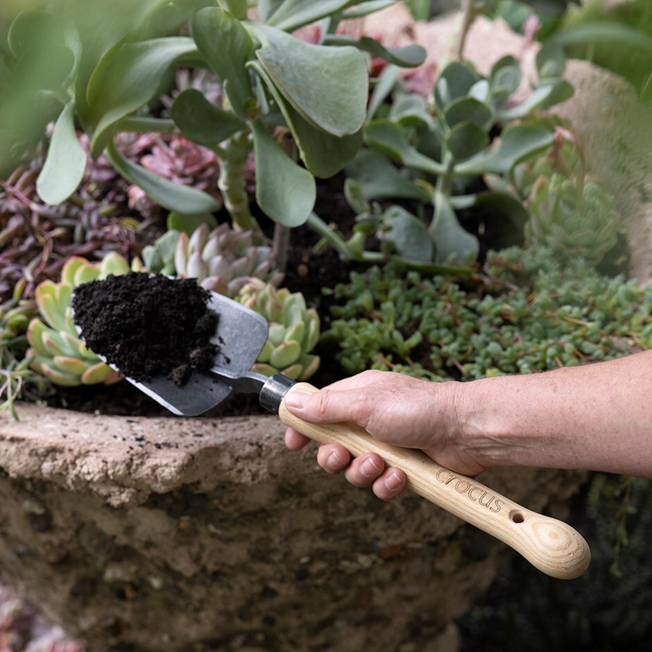 Chelsea planting trowel - Crocus by DeWit