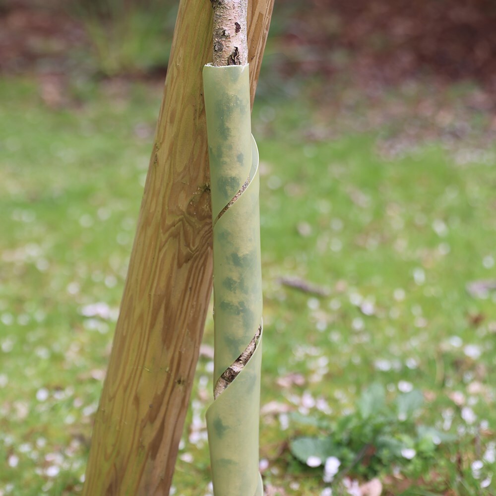 Premium tree planting kit with bamboo stake