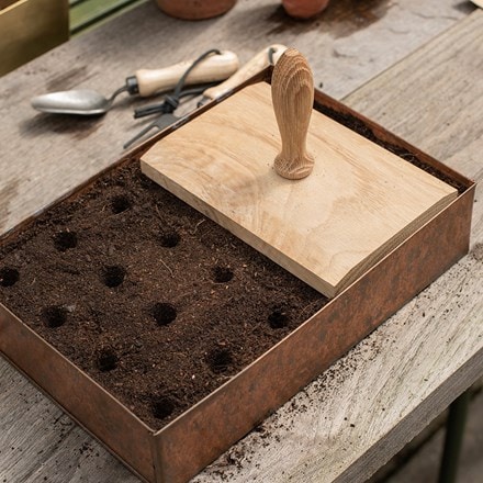 Multi seed tray dibber