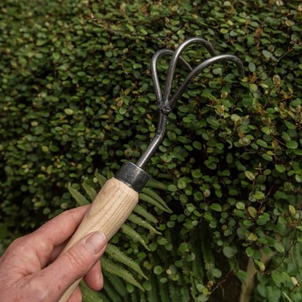 DeWit hand 3 tine cultivator - 25cm ash handle
