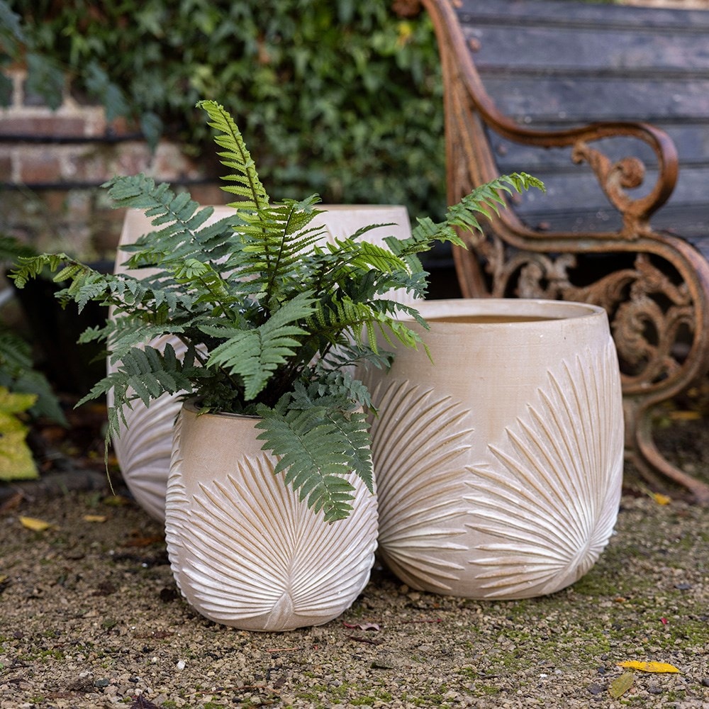 Set of three planters with embossed leaf design