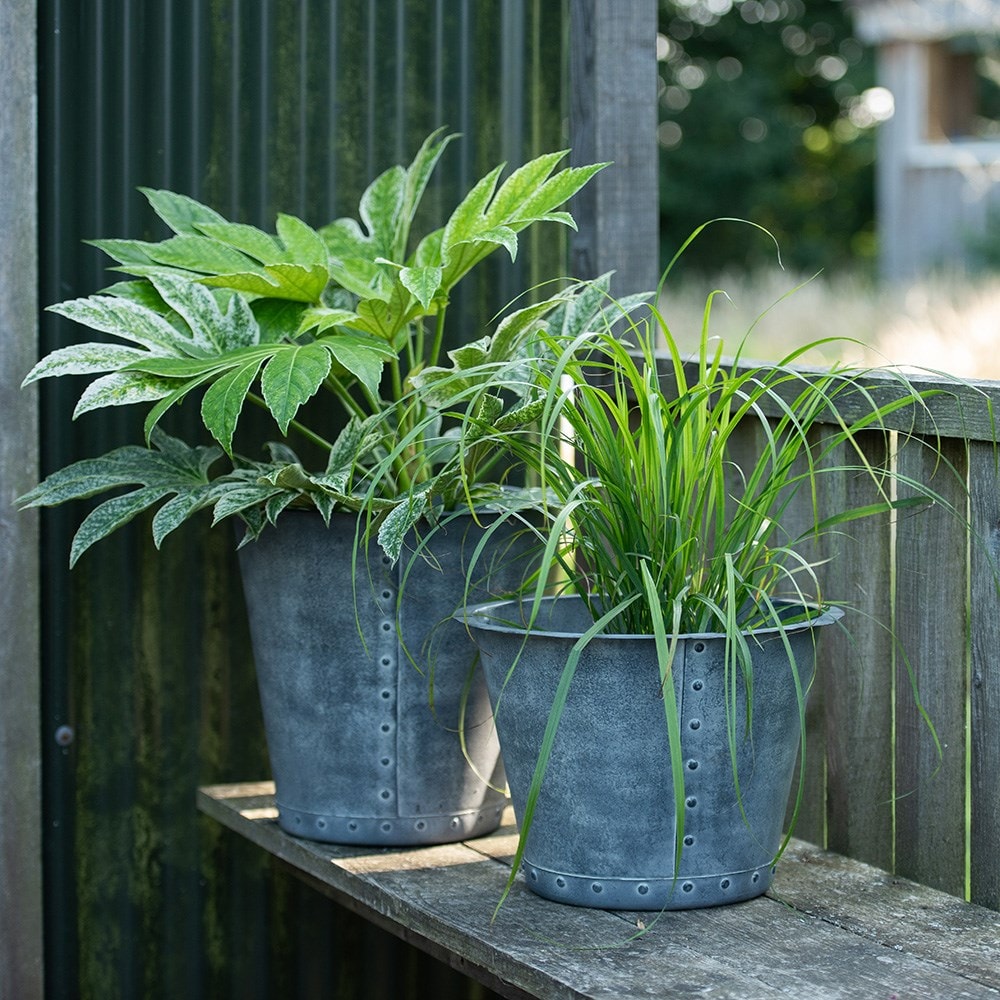 Buy Riveted Galvanised Metal Pot Aged Zinc Delivery By Waitrose Garden