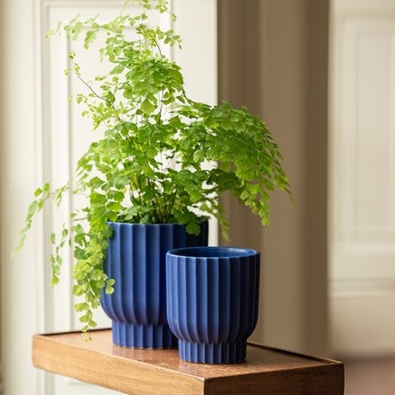 Ribbed coupe plant pot set of 2 - cobalt blue