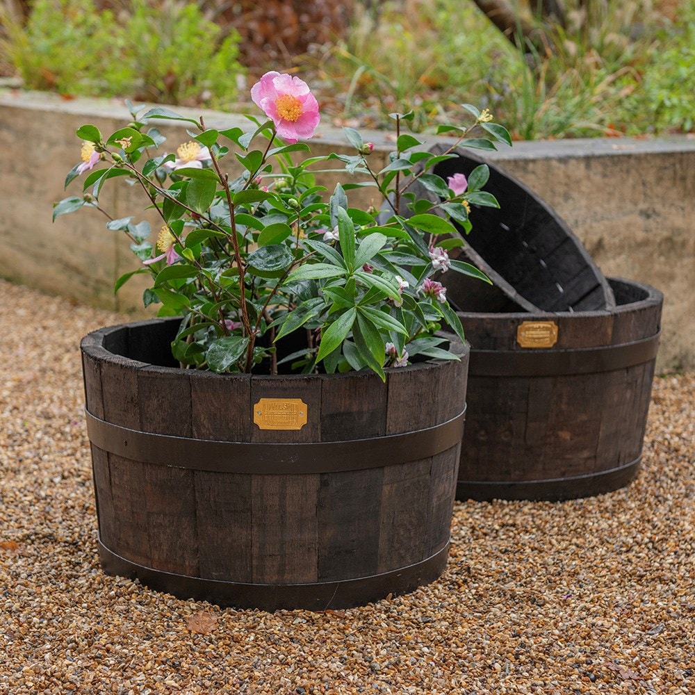 Reclaimed oak barrel planter
