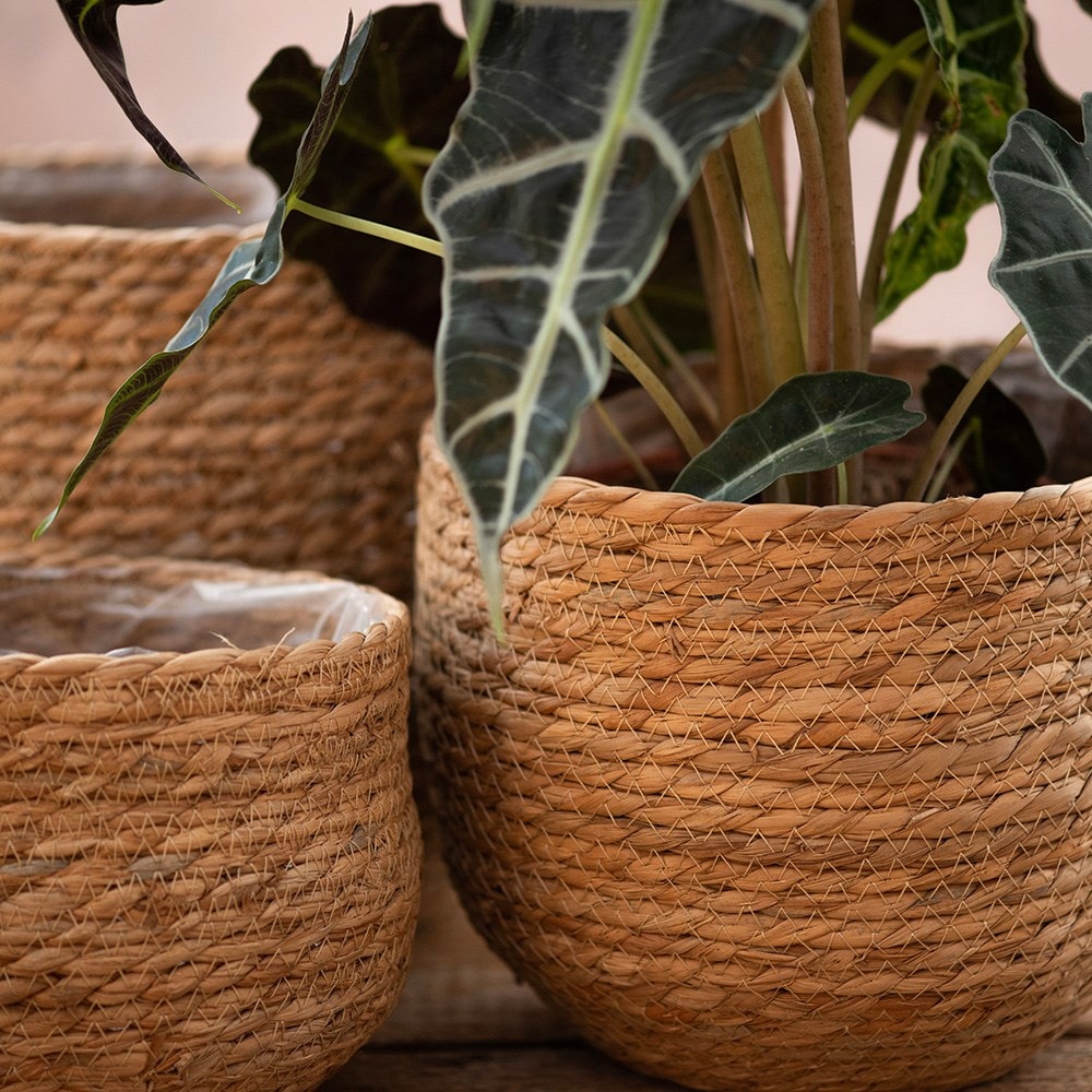 Round woven seagrass baskets natural - set of 3