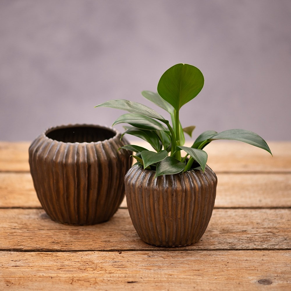 Ribbed ceramic plant pot - antique bronze