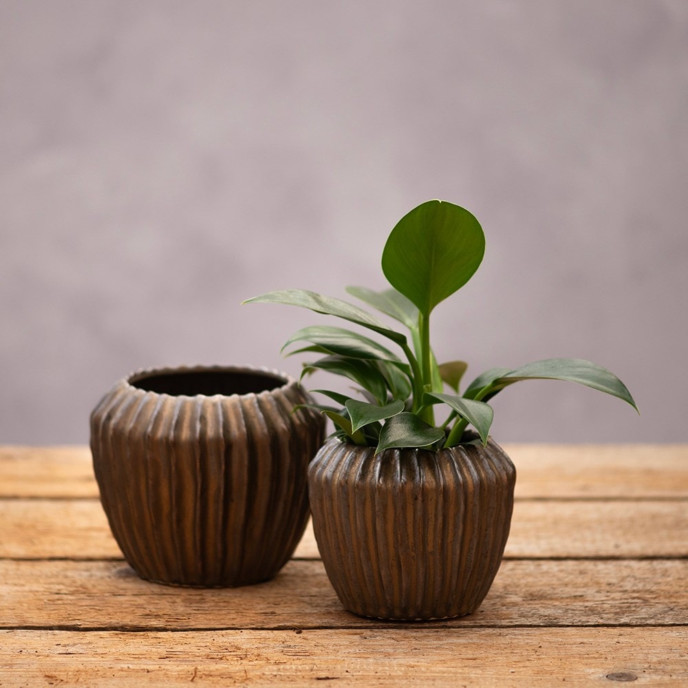 Ribbed ceramic plant pot - antique bronze