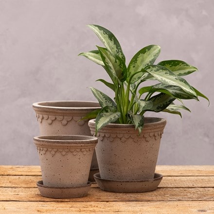Scalloped tapered plant pot & saucer - grey terracotta