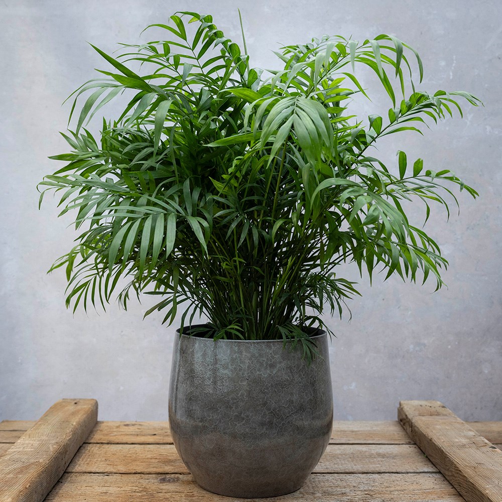 Glazed speckled plant pot - grey
