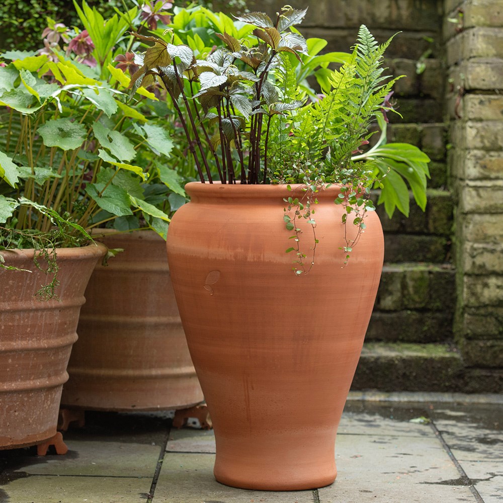 Terracotta vase planter