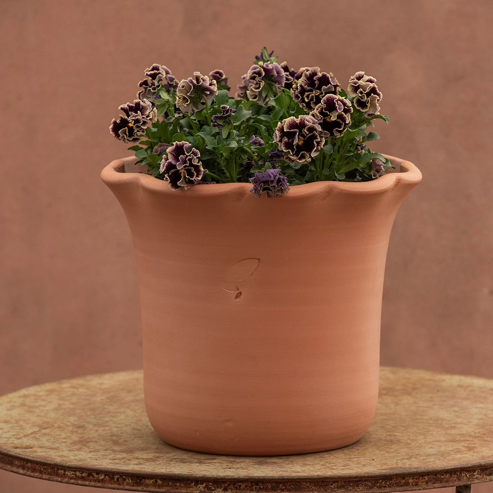 Terracotta ruffle pot 