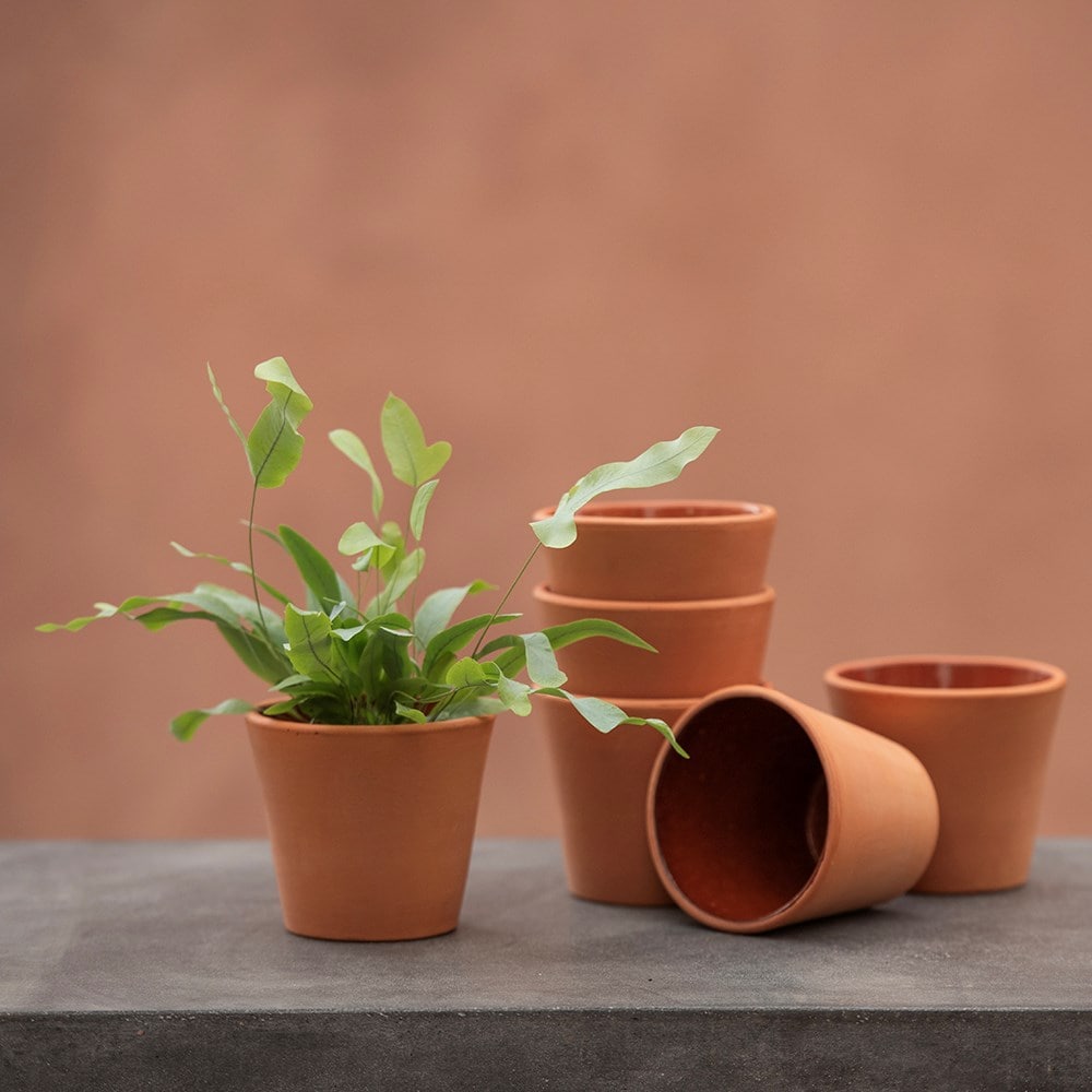 Indoor propagating pots - glazed inside - set of 3