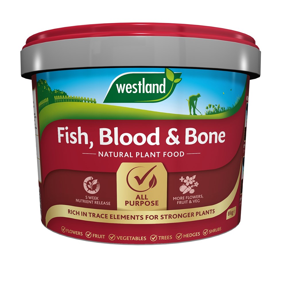 Fish blood and bone