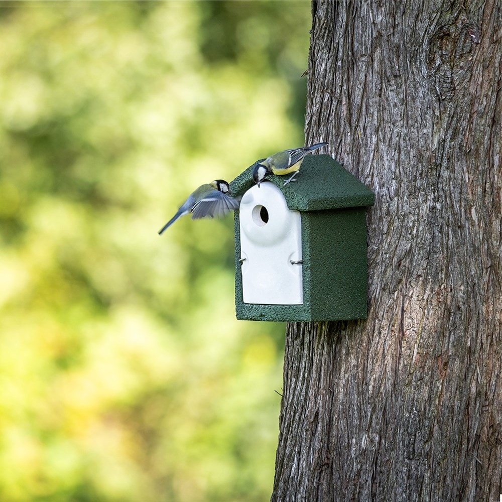 WoodStone 32mm nest  box - green