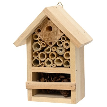 Bamboo insect house